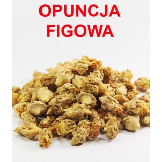 OPUNCJA FIGOWA KWIAT 1 KG